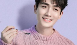 娱乐大爆料张翰刘宇宁,揭秘幕后故事与精彩瞬间