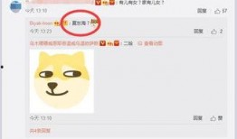 爆料太打脸了视频下载,真相令人震惊